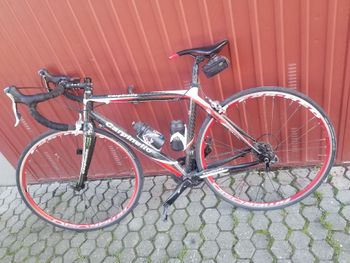Used carpinello Carpinello 2002 Road & Gravel