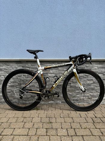 Tweedehands Viner Maxima 2009 Road & Gravel