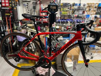 Used Specialized Tarmac Comp 2017 2017 Road & Gravel, Rot — image 18 of 18