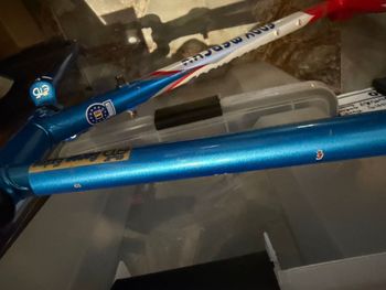 Used Eddy Merckx Corsa Extra TSX 1998 Road & Gravel, Blue — image 5 of 18