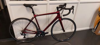 Trek, Émonda SL 6 2020
