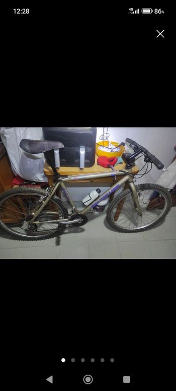 BH, Alu 250