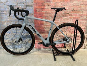 Trek, Domane SL 7 Gen 4 2025