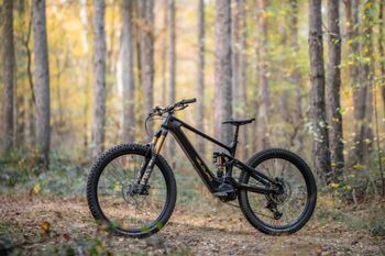 Used velduro Roque 2026 Mountainbike — image 6 of 9