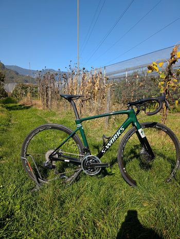 Specialized, S-Works Roubaix – SRAM Red eTAP AXS 2022