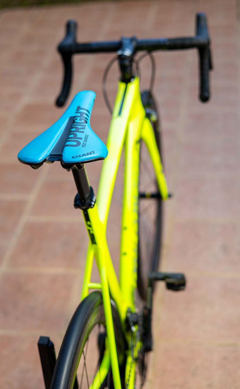 BH Global Concept 2020