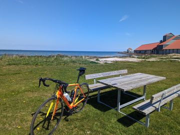 Tweedehands Specialized Tarmac Comp - Torch Edition 2017 2017 Road & Gravel — afbeelding 6 van 20