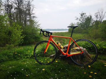 Brugt Specialized Tarmac Comp - Torch Edition 2017 2017 Road & Gravel