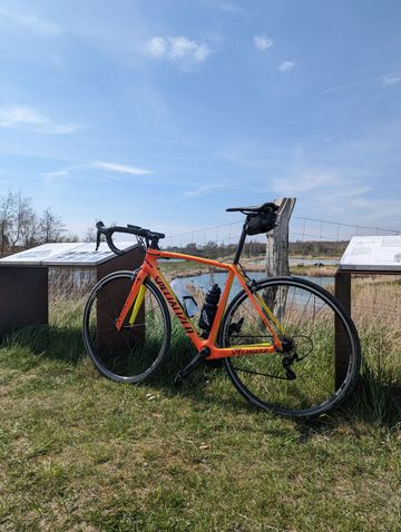 Tweedehands Specialized Tarmac Comp - Torch Edition 2017 2017 Road & Gravel — afbeelding 4 van 20