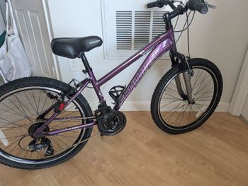 Schwinn, 24G Sidewinder AL
