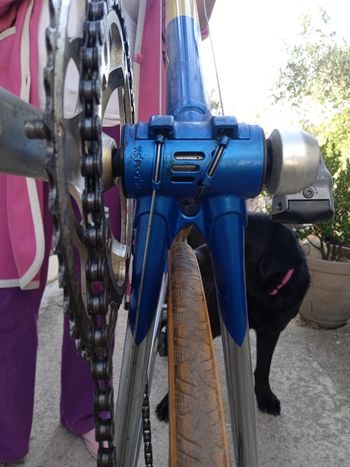 Used BMZ Biemmezeta Shimano 600 Tricolor 8v 1995 Road & Gravel, Blau — image 6 of 12