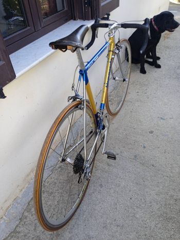 Used BMZ Biemmezeta Shimano 600 Tricolor 8v 1995 Road & Gravel, Blau — image 9 of 12