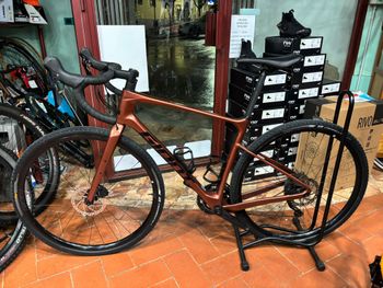 Giant, Revolt Advanced 3 2022