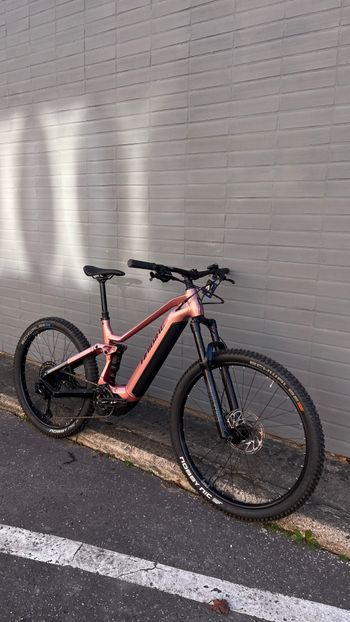 Haibike, AllTrail 7