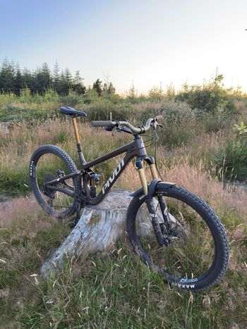 Pivot, FIREBIRD Pro X0 Eagle Transmission 2024