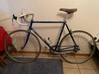 Used Olmo Olmo Super Gentleman Rennrad 80er Jahre Campagnolo 1985 Urban & Touring