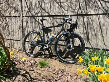 Used Argonaut RM2 2018 Road & Gravel