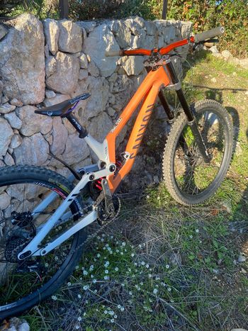 Canyon, Sender CFR Mullet Underdog 2023