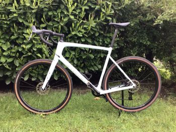 Specialized, Diverge Sport Carbon 2023