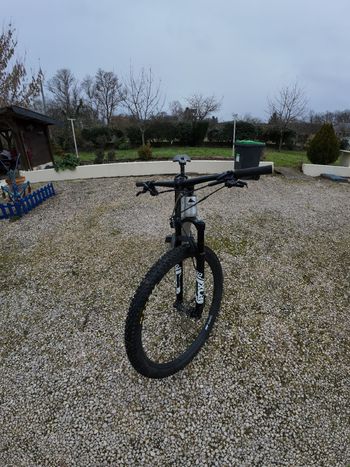 Canyon, Exceed CF 6 2021