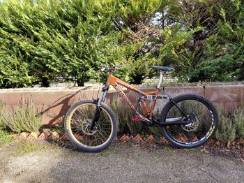 Kona, Garbanzo Stinky 2007 Xl