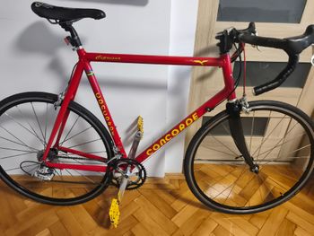 Used Concorde Cipressa 2001 Carretera y gravel