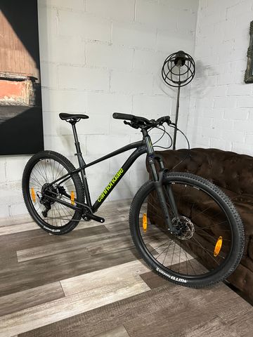 Used Cannondale Trail 1 2026 2026 Mountainbike, Black, 27.5 — image 15 of 15