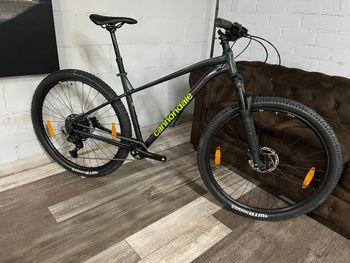 Used Cannondale Trail 1 2026 2026 MTB