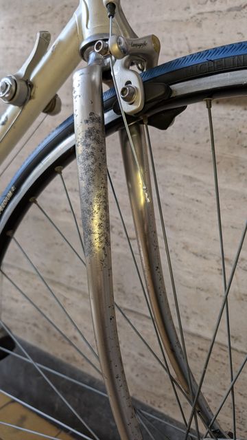 Used Pinarello Treviso 1990 Road & Gravel, White — image 26 of 37