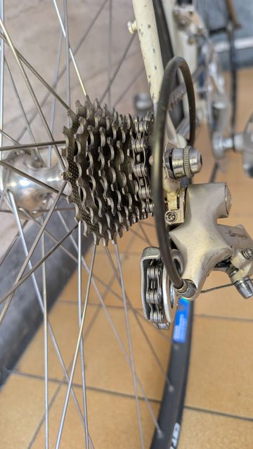 Used Pinarello Treviso 1990 Road & Gravel, White — image 25 of 37