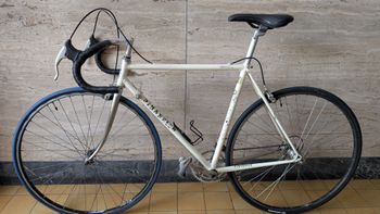 Pinarello, Treviso