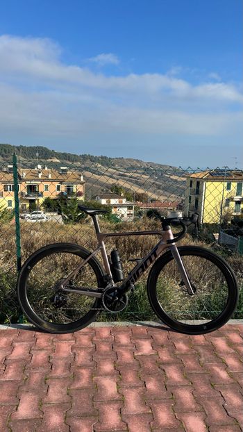 Giant, Defy, Advanced Pro 1 2023