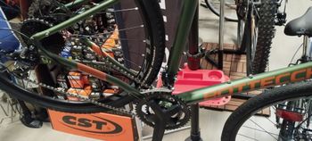 Used Bottecchia Gravel Monster AL 2022 2022 Road & Gravel, Grün — image 16 of 17