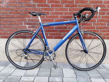 Gazelle, Vuelta