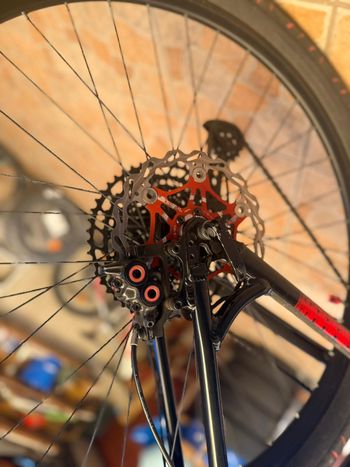 Used COLLECTIVEBIKES COLLECTIVE BIKES  MODELLO  LH 1 2025 Mountainbike, Red — image 4 of 7