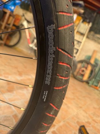 Used COLLECTIVEBIKES COLLECTIVE BIKES  MODELLO  LH 1 2025 Mountainbike, Red — image 5 of 7