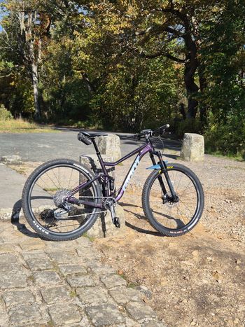 Giant, Stance 29 1 2021