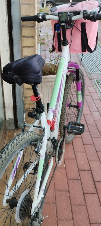 Used Torpado Storm 2022 Mountainbike — image 5 of 8
