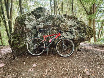 BMC, Teamelite 02 XT