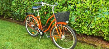 Nessuna, CITY BIKE DONNA