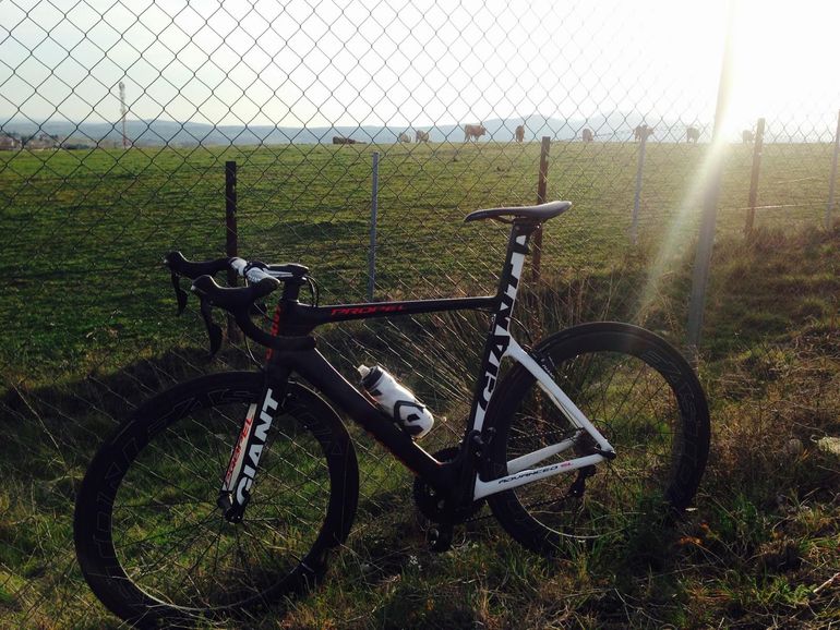 Used Giant Propel Shimano Ultegra 2014 Road & Gravel, Black — image 3 of 5