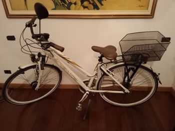 Cicli Adriatica, Sity