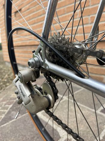 Used Bianchi Columbus SBX 1991 Reparto Corse Con Gruppo Campagnolo 1991 Road & Gravel, Green — image 3 of 25