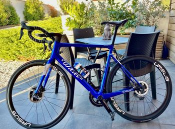 Willier, Triestina SLR