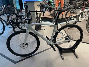 Specialized, Roubaix SL8 Expert 2024