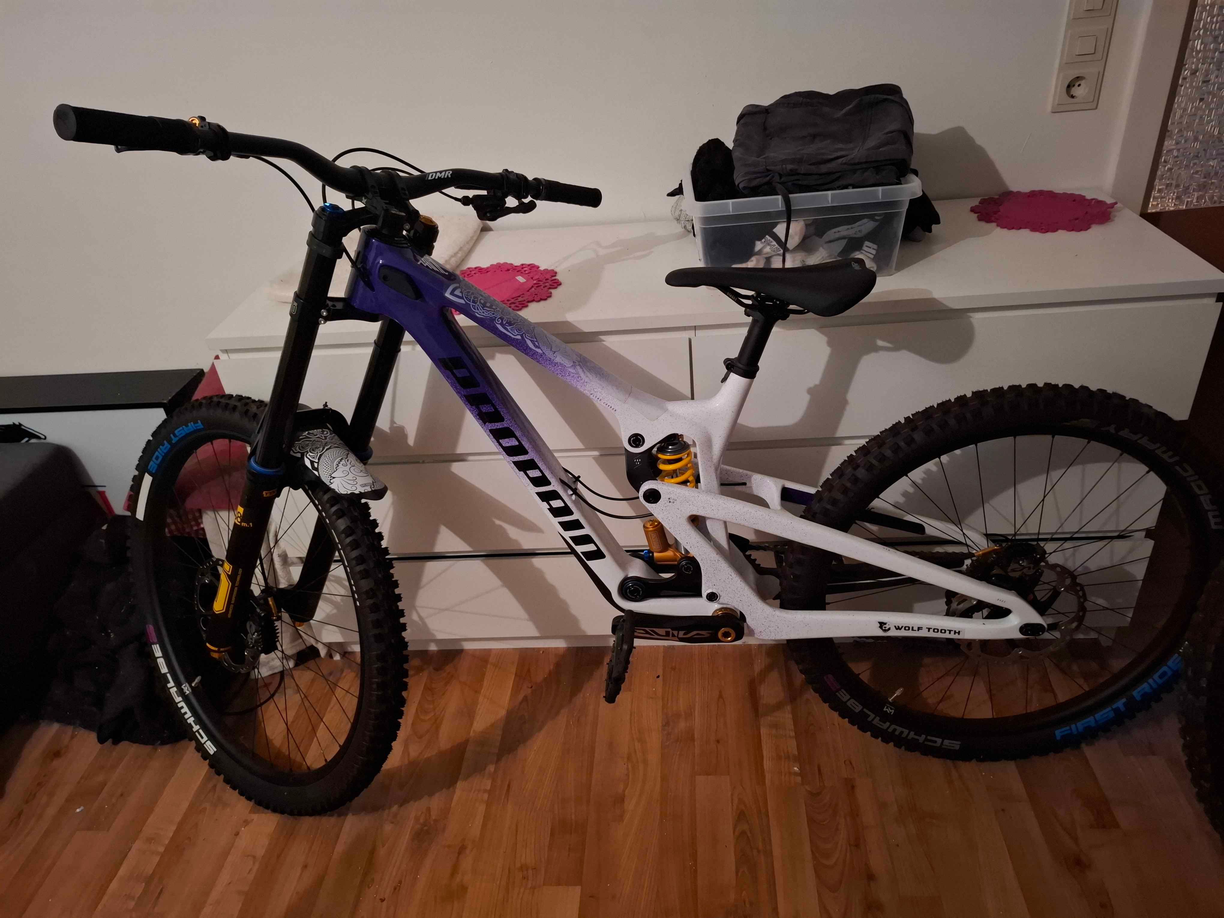 Propain Propain Rage 3 R CF Positive Limited Edition 2024