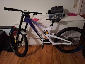 Propain, Propain Rage 3 R CF Positive Limited Edition