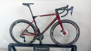 Merida, SCULTURA 8000 2024