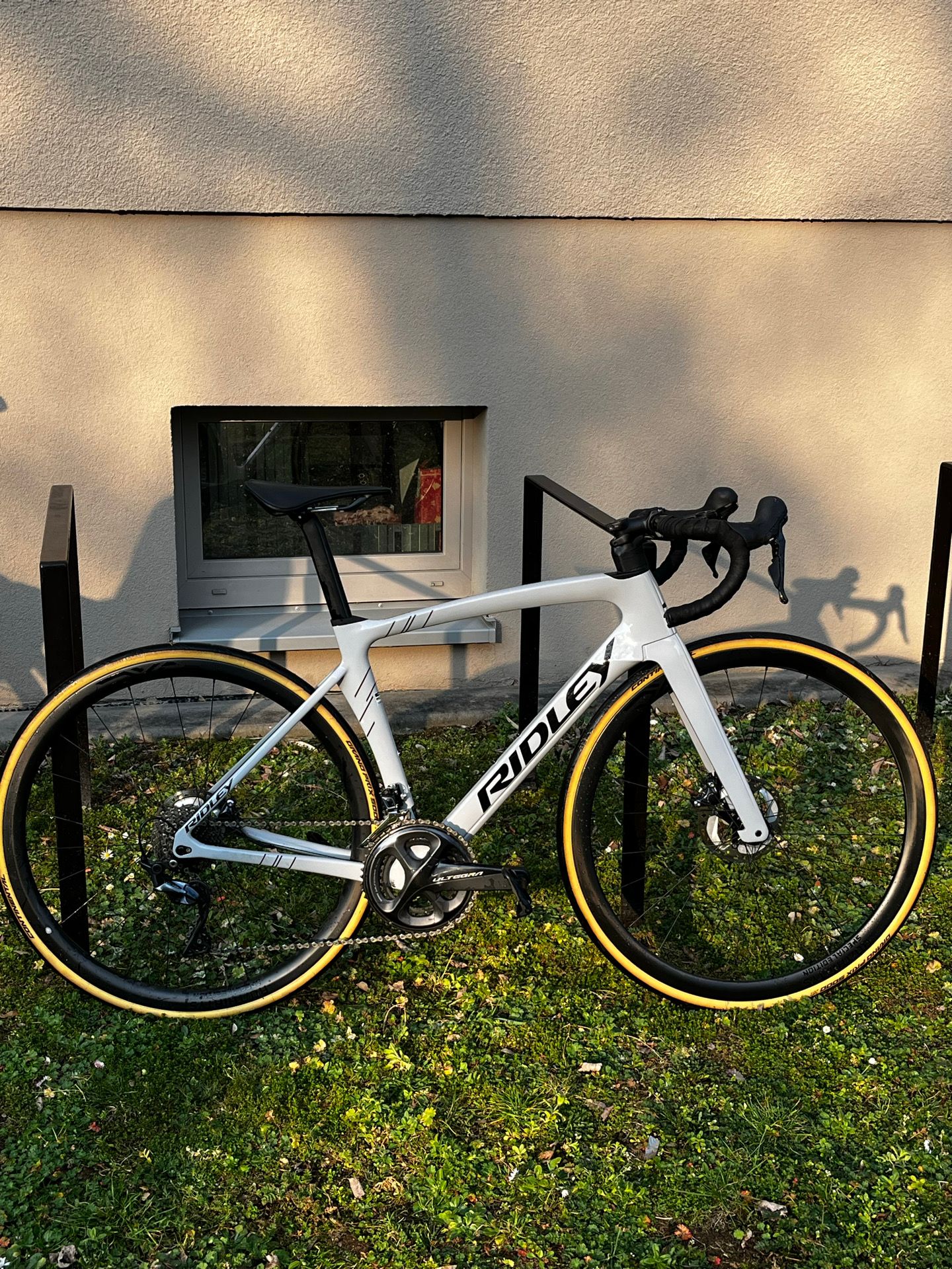 Ridley Noah Disc - Shimano Ultegra 2x11sp 2024 2024