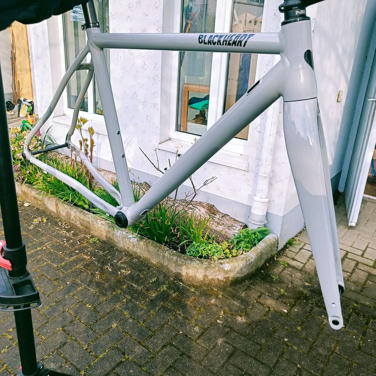 Used Blackheart Blackheart Allroad Frameset 2025 Road & Gravel, Light Gray — image 2 of 4